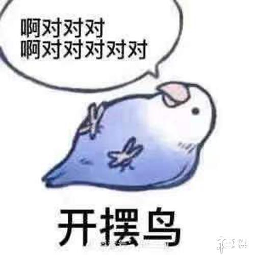 吃瓜吃得睡不着,揭秘娱乐圈那些让你夜不能寐的幕后故事