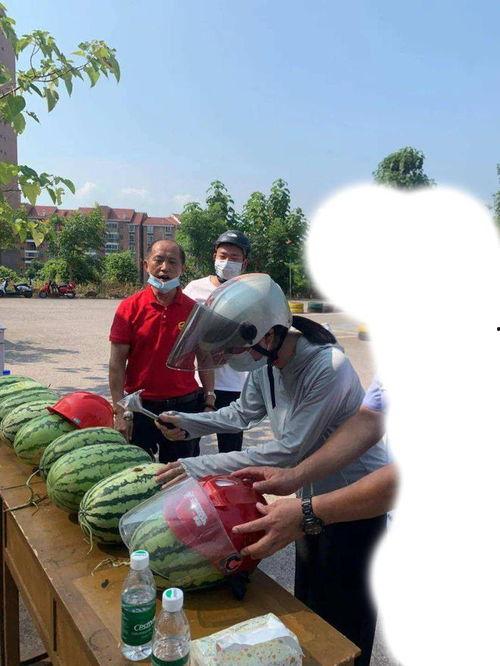 fn吃瓜事件,揭秘网络舆论背后的真相与反思