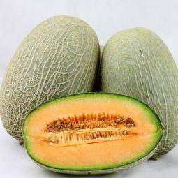 吃哈密瓜勃起,甜蜜诱惑下的勃起之谜