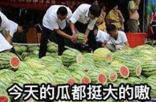 成都吃瓜事件,一场网络热议背后的真相与反思
