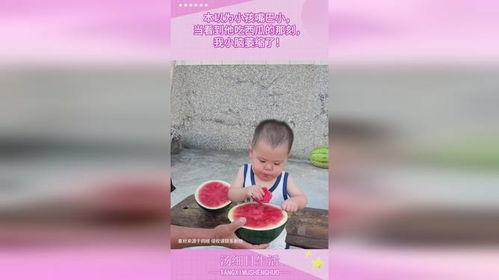 小九吃自己的瓜,一场关于成长与反思的奇妙之旅