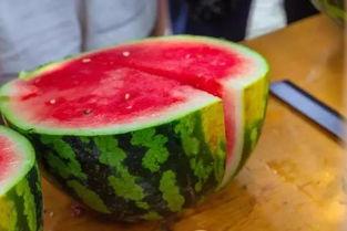 学校大门吃瓜,揭秘校园生活百态