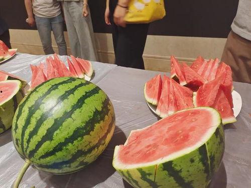 浙江的瓜怎么吃,解锁多样食用新体验