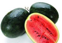 黑网吃瓜料网2024,揭秘网络热点背后的真相与内幕