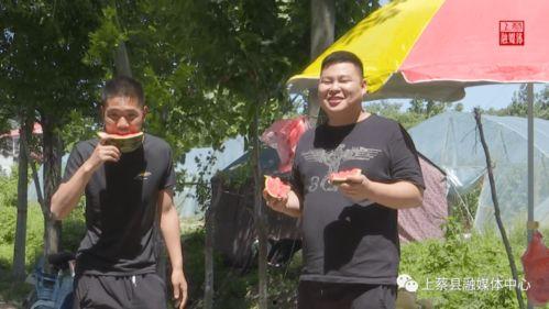 吃瓜村支书,揭秘乡村治理背后的故事