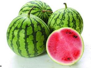 吃瓜不要瓜,一场关于真相与误解的探讨