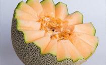 哈密瓜螃蟹能一起吃吗,探究两者同食的适宜性