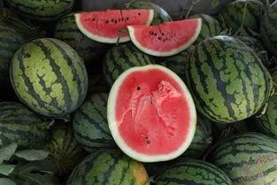 爱吃瓜为吃瓜而活,以“爱吃瓜”为生的独特人生