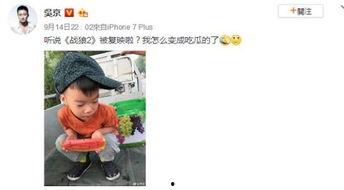 叶问蹲吃瓜,揭秘一代宗师背后的“吃瓜”故事