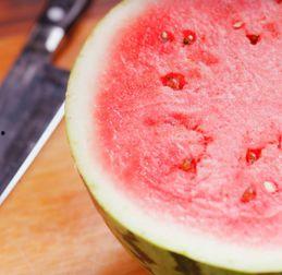 爪子吃瓜,瓜果世界里的奇妙食趣