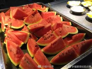 福建吃瓜贴吧,揭秘网络热帖背后的故事