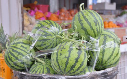 做梦吃坏瓜,一梦吃坏瓜，揭秘梦境中的奇幻之旅