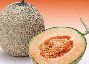 文鸟吃哈密瓜