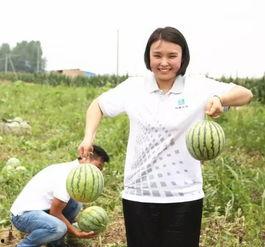 杭州团吃瓜,揭秘网红美食背后的故事