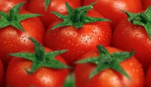 读心吃瓜系统番茄,揭秘吃瓜群众的内心世界