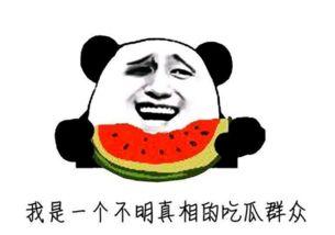 最牛吃瓜群众分享,揭秘“最牛吃瓜群众”背后的故事与传奇