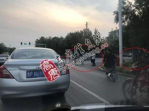 吃瓜群众公路事件,吃瓜群众视角下的真相揭秘