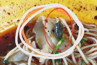 梦见吃瓜吃出虫子,吃瓜吃出虫子的寓意与启示