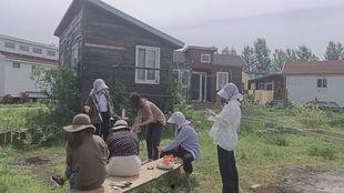 吃瓜的狗蛋,揭秘娱乐圈的幕后故事