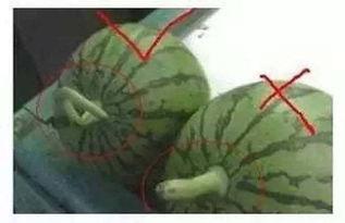 顾声吃瓜,揭秘娱乐圈背后的那些事儿