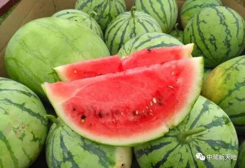 吃瓜的贝儿,揭秘娱乐圈背后的故事