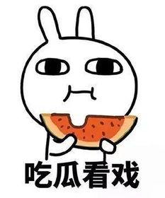 吃瓜怎么打开话题,轻松开启社交话题的秘诀