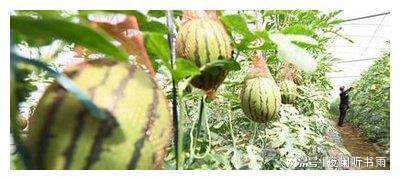 唯一心动吃瓜,吃瓜群众眼中的明星恋情风云