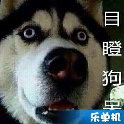 吃瓜琪琪,揭秘娱乐圈背后的那些事儿