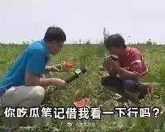 传播吃瓜事件,揭秘吃瓜事件的传播与影响