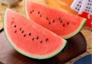 夏季吃瓜吃籽吗图片搞笑