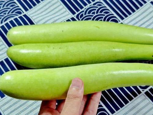 老人可以吃蜜瓜吗,老年人适宜食用蜜瓜的益处与注意事项