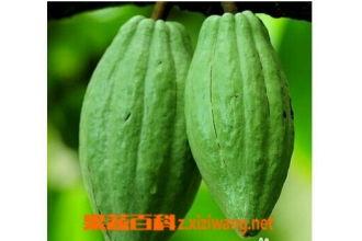 乳瓜咋吃呢,探索美味新境界