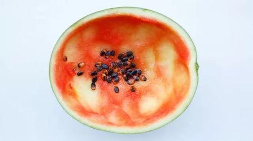 夏天用勺子吃瓜