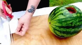 文安吃瓜事件,一场网络舆论的风暴与反思