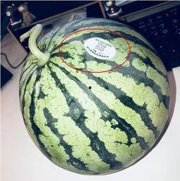 烟台吃瓜网红,带你探秘当地美食江湖