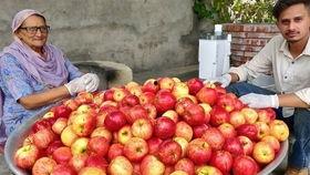 什么瓜不用手剥皮吃,探索无需手剥皮食用的神奇瓜果