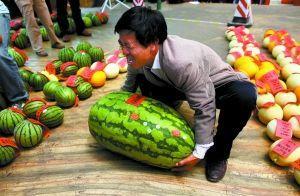 深圳高尔夫圈子吃瓜事件,揭秘背后真相与争议