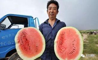 中国渔民吃瓜图片大全