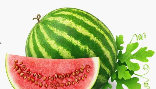 夏天吃瓜动态凉爽壁纸,吃瓜动态壁纸，感受夏风习习