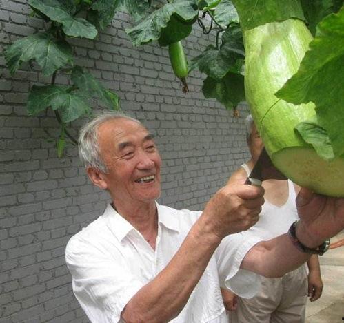 吃瓜前线农村瓜