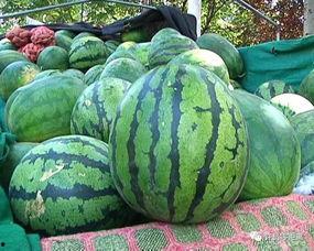 视频如何营造吃瓜群体,如何打造火爆的“吃瓜群众”现象