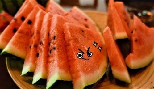 立秋吃瓜照片,一场视觉盛宴的瓜田之旅