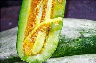 网红吃小瓜,趣味横生引网友热议